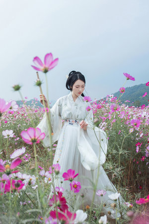 a版杨贵妃是谁演的