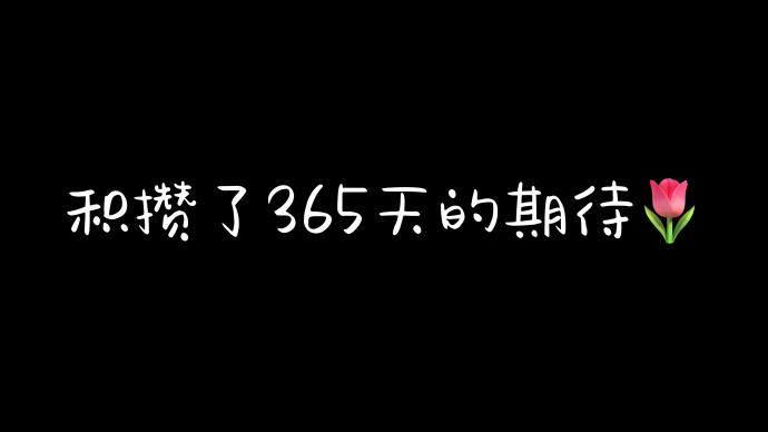 超创意的生日发朋友圈手机横屏壁纸 积攒了365的期待