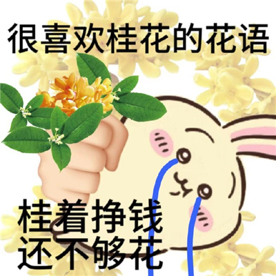 花语表情包张张让人爆笑又好用 茉莉花花语茉挨着我莉我远点