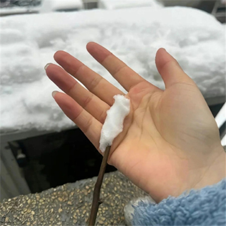 冬天冰雪玫瑰教程素材 快艾特你的好朋友做冬天里的第一朵雪玫瑰