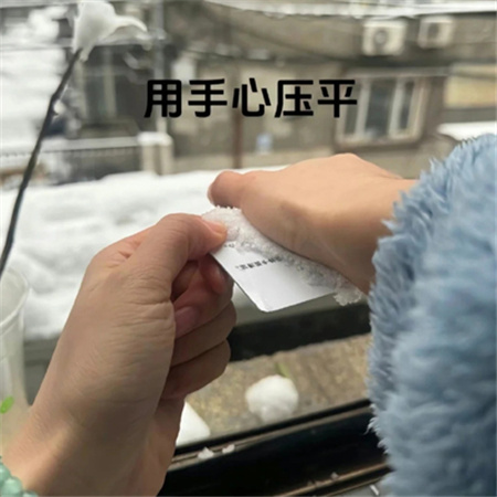 冬天冰雪玫瑰教程素材 快艾特你的好朋友做冬天里的第一朵雪玫瑰