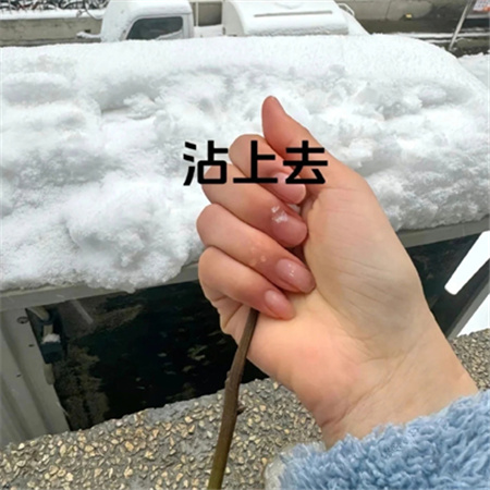 冬天冰雪玫瑰教程素材 快艾特你的好朋友做冬天里的第一朵雪玫瑰