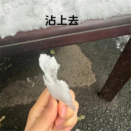 冬天冰雪玫瑰教程素材 快艾特你的好朋友做冬天里的第一朵雪玫瑰