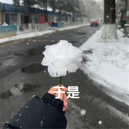 冬天冰雪玫瑰教程素材 快艾特你的好朋友做冬天里的第一朵雪玫瑰