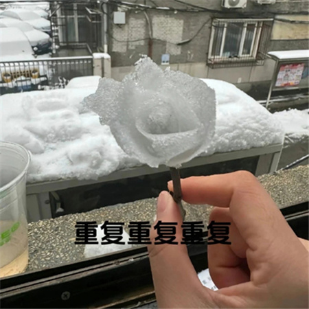 冬天冰雪玫瑰教程素材 快艾特你的好朋友做冬天里的第一朵雪玫瑰