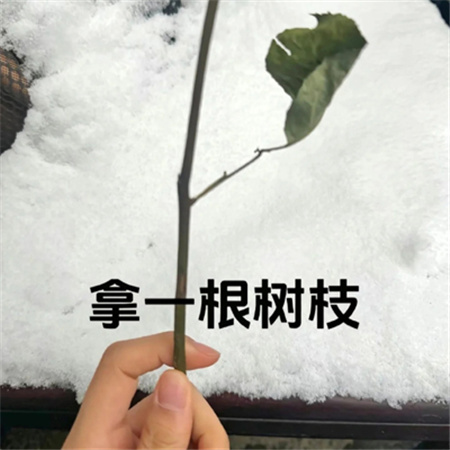 冬天冰雪玫瑰教程素材 快艾特你的好朋友做冬天里的第一朵雪玫瑰