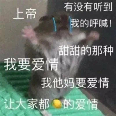 最新版很有特色单身狗的专用表情 靓仔总是孤独