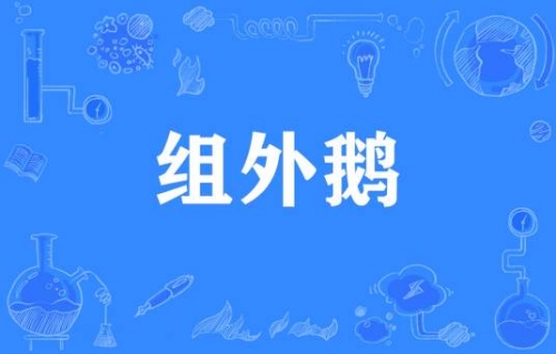 网络用语组外鹅是什么梗