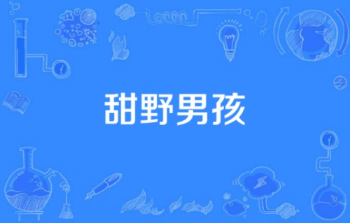 网络用语甜野男孩是什么梗