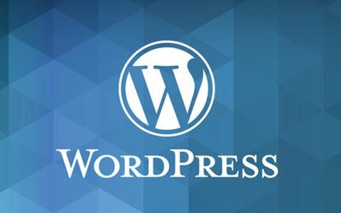 WordPress怎么禁用主题文件编辑器？WordPress设置禁止安装主题插件方法