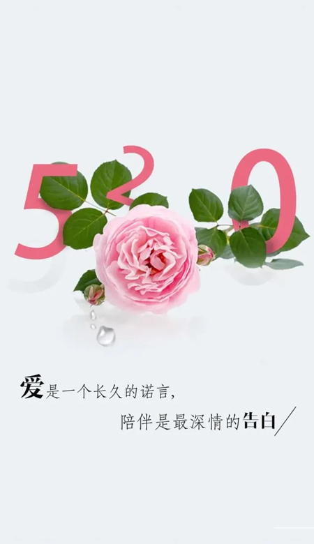 520高清浪漫的祝福壁纸大全2022 最好的爱藏在你的生活点滴中