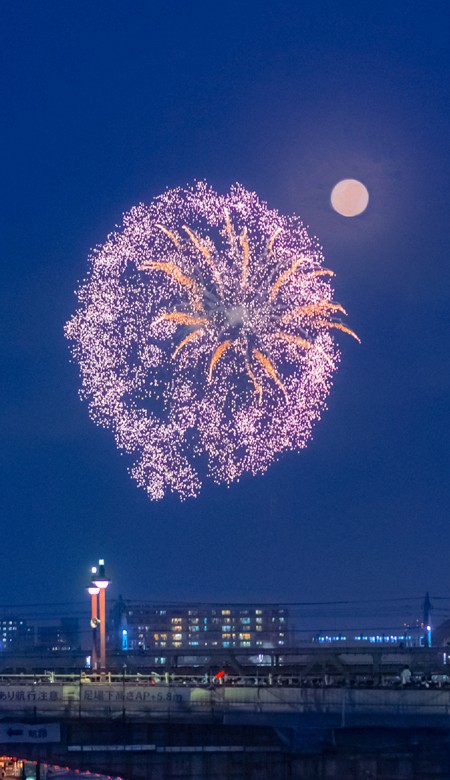 2023氛围感的烟花新年壁纸高清全面屏 漫天的花火像星辰守护着大海