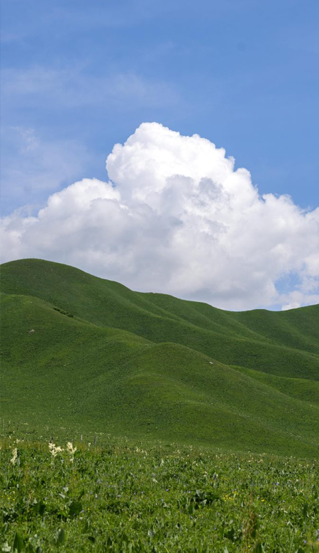 令人向往的新疆风景壁纸 在新疆遇到了人间幻境