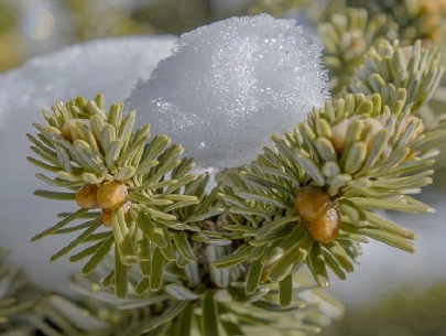 晒雪景的心情说说带图片 下雪天微信说说配图