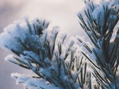 晒雪景的心情说说带图片 下雪天微信说说配图