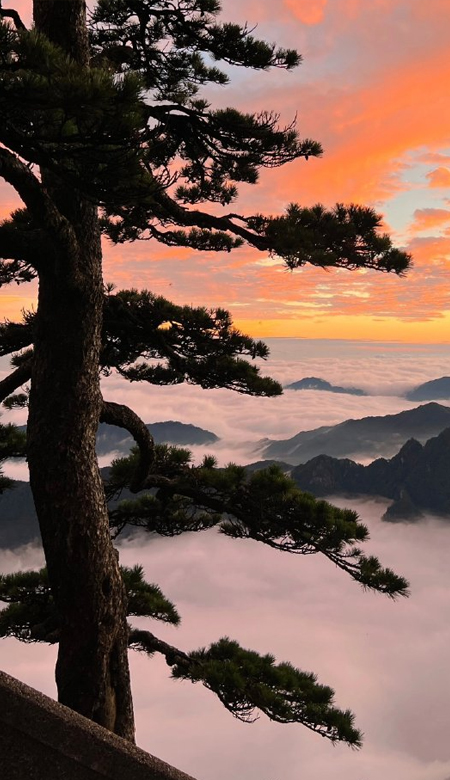 让人着迷的黄山风景壁纸高清 归来黄山不看哦