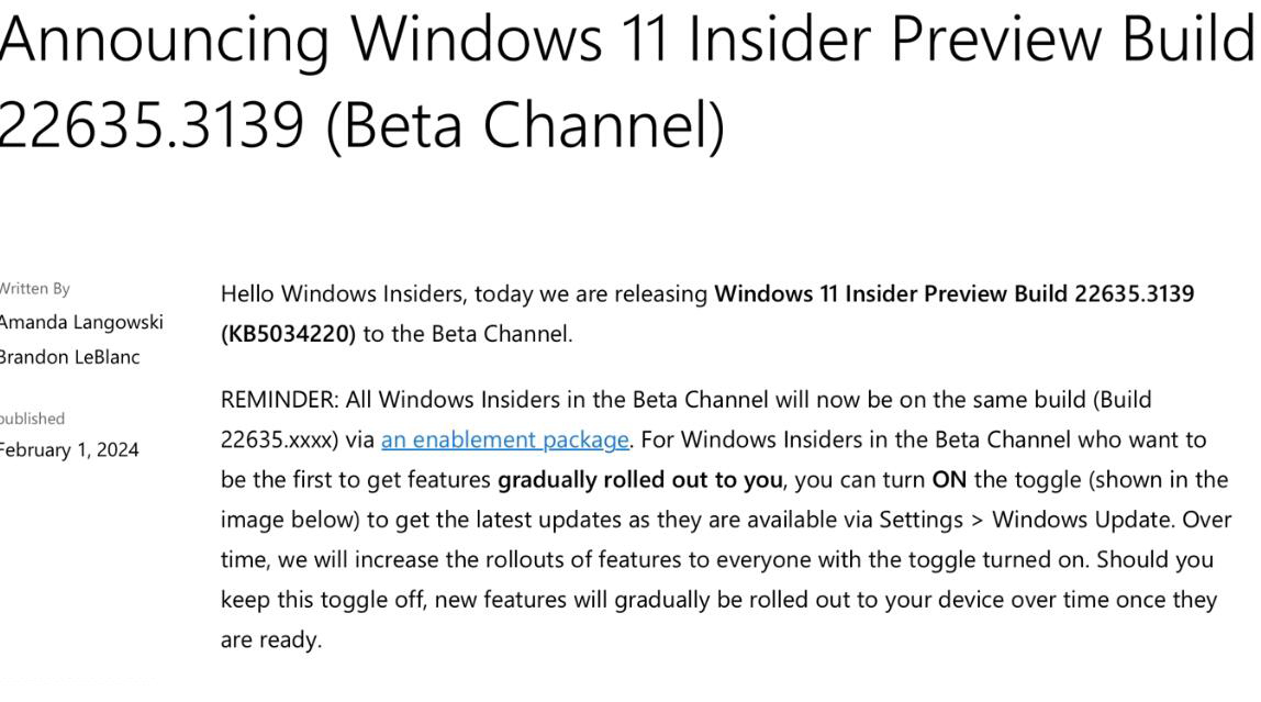 Win11 Beta 预览版 Build 22635.3139更新补丁KB5034220 发布(附更新修复汇总)
