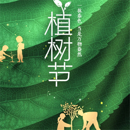 3.12植树节创意配图2024 今天是植树节一起来浇个朋友叭