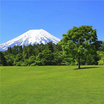 微信最吉利的好看头像山水图片 最吉祥的风景微信头像大全