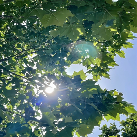 有气质的背景图品位高级 懒得解释也不想和你产生共鸣