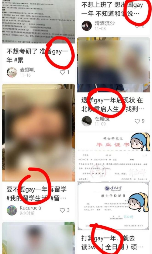 gay一年是什么梗 gay一年梗意思介绍