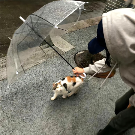 值得尝试的小众背景图 很高兴站在你身边