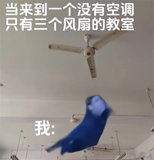 hero死了是什么梗 hero死了梗意思介绍