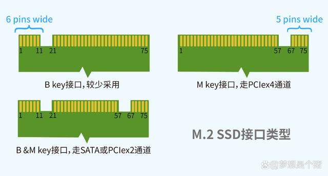 升级电脑却买错了SSD? 一篇看完2024常见固态硬盘种类及相关参数科普