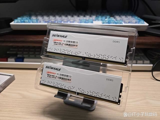 我的首款DDR5装机内存! 枭鲸审判者DDR5内存 5600 32G内存超频测评