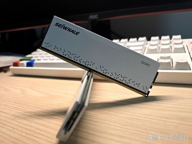 我的首款DDR5装机内存! 枭鲸审判者DDR5内存 5600 32G内存超频测评