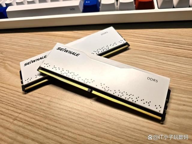 我的首款DDR5装机内存! 枭鲸审判者DDR5内存 5600 32G内存超频测评