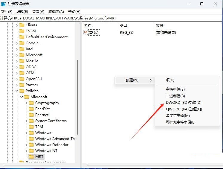 Win11怎么清除恶意软件? win11注册表清理软件的技巧