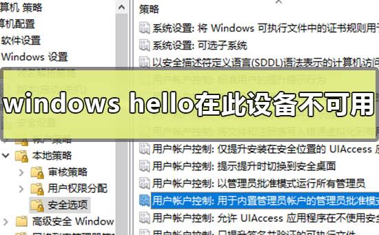 Windows hello在此设备上不可用咋办? win11不支持windows hello解决办法