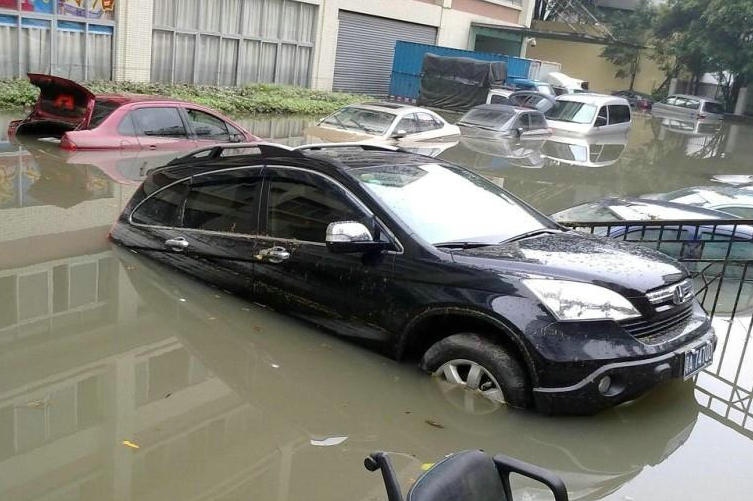 从哪里可以看出来是不是水泡车(从哪里可以看出我长大了是一个大人了)