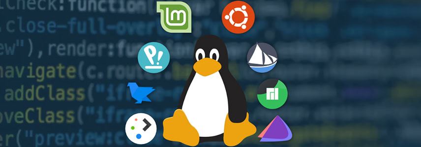 Linux版本怎么选? 2024十款最适合初学者的Linux发行版本推荐