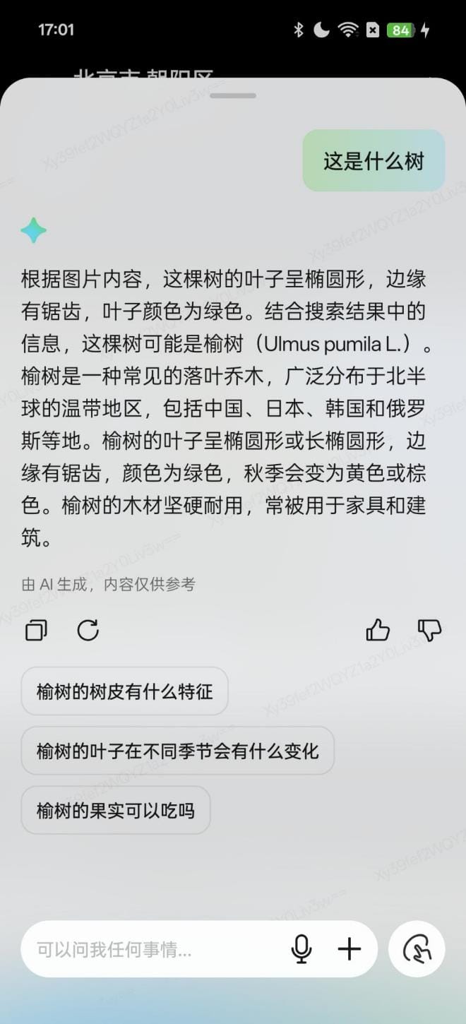 OPPO Reno13 Pro性能怎么样 OPPO Reno13 Pro综合评测