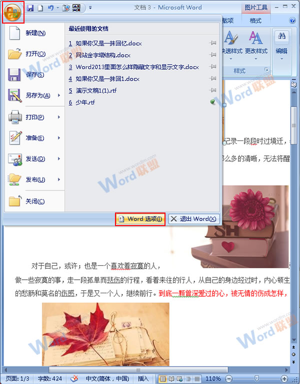 Word2007如何通过隐藏图片来提高浏览速度？ 三联