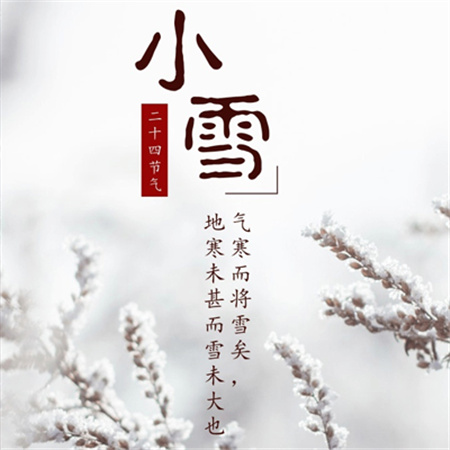 2022小雪节气带字图片唯美配图 雪花随风不厌看一片飞来一片寒