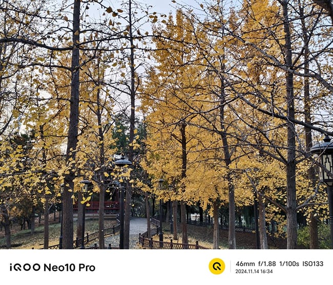 iQOO Neo10 Pro怎么样 iQOO Neo10 Pro手机评测