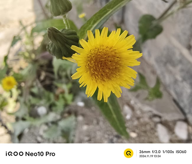 iQOO Neo10 Pro怎么样 iQOO Neo10 Pro手机评测