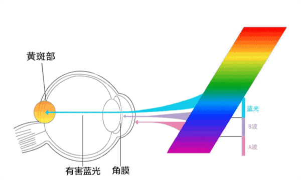 防蓝光是智商税？笔记本标配的低蓝光技术有没有用