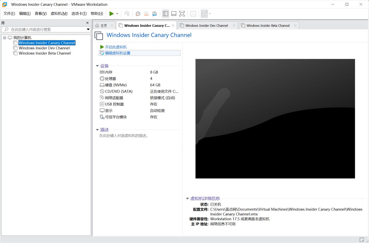 Win11中VMware创建虚拟机后鼠标漂移怎么办?