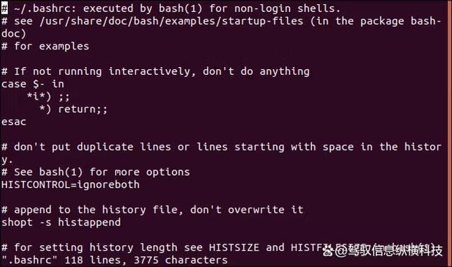 探索Linux的强大文本编辑器: 关于vi编辑器看这篇文章就够了