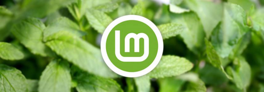 Linux Mint Xia 22.1重磅发布: 重要更新一览