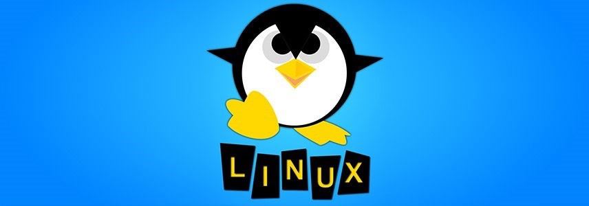 Linux Kernel 6.13发布:附更新内容及新特性解读