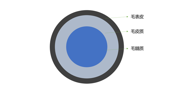 你绝对想不到！烫头发和蒸馒头是的原理居然是一样