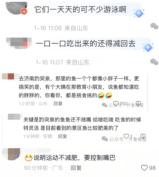 趵突泉锦鲤胖的跟猪一样  园区：再喂就噶了！