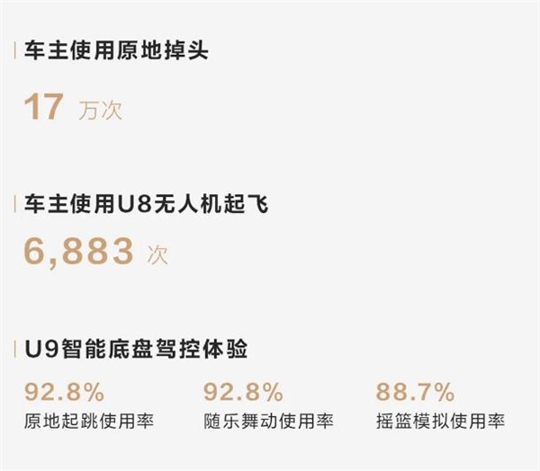 仰望U8车主玩疯了：2024年共原地掉头17万次