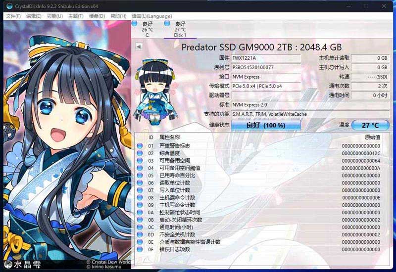 T0顶级的开端! 掠夺者GM9000 神舆PCIe 5.0 SSD测评