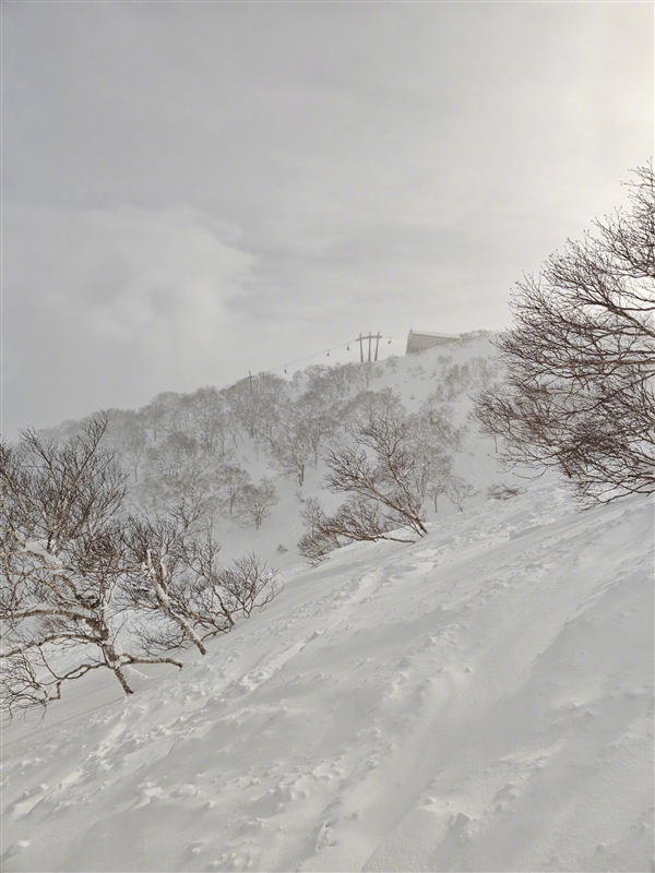 雷军解锁新技能滑野雪：滑了6天、非常容易上瘾